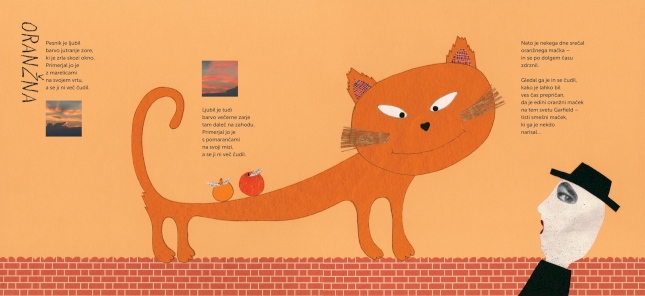 Children's Picture Book image